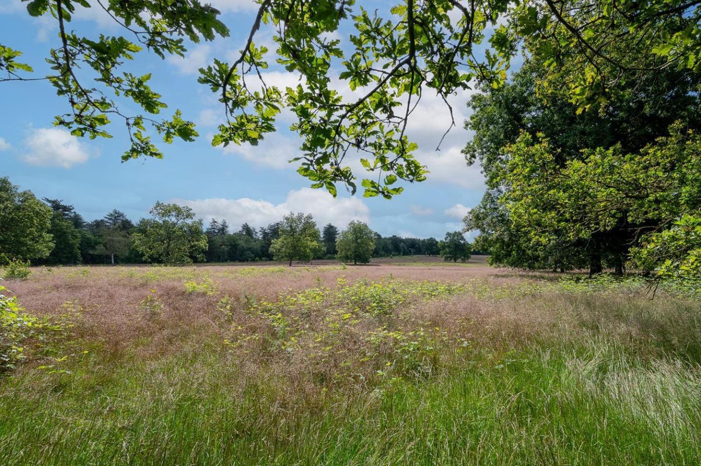 Chalet 42 'Vuursteenberg' Bospark Ijsselheide Zwolle Hattemerbroek Exteriör bild